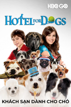 Khách Sạn Dành Cho Chó